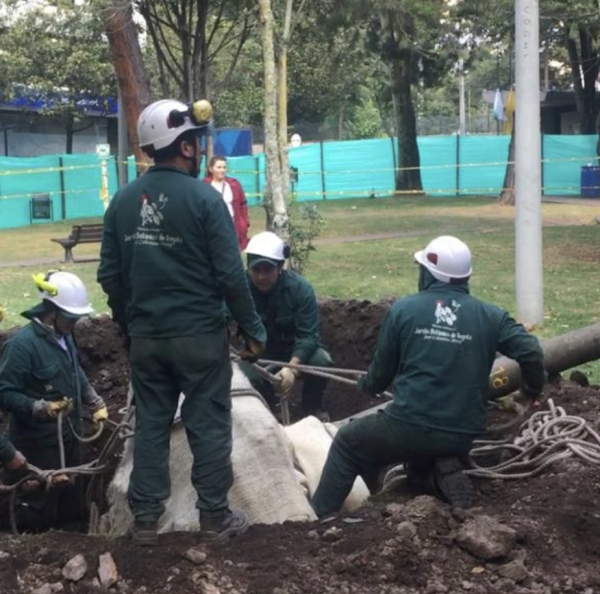 Personera pide a Distrito respetar orden judicial de parque El Japón