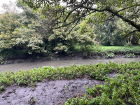 Personer&iacute;a advierte 17 amenazas que  ponen en grave riesgo la vida de los humedales